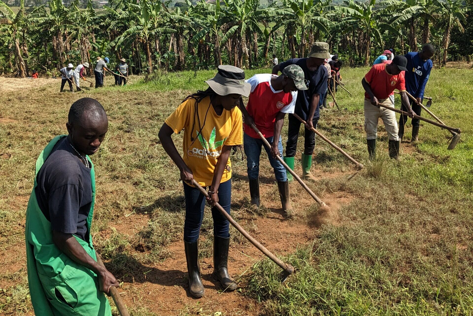 ToTs Taught by B2R Farms Train Over 100,000 Farmers in Rwanda | B2R Farms